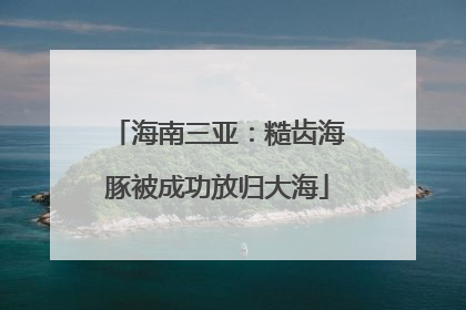海南三亚：糙齿海豚被成功放归大海