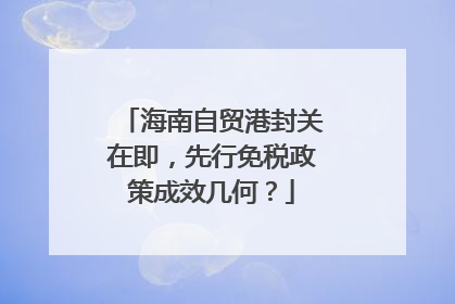 海南自贸港封关在即，先行免税政策成效几何？