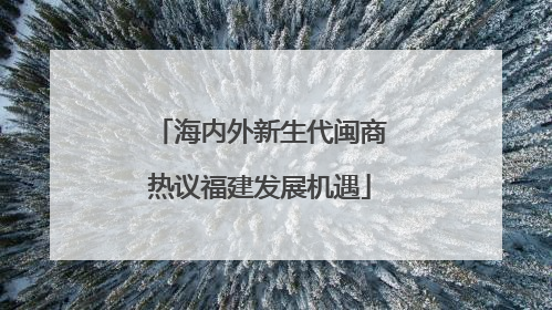 海内外新生代闽商热议福建发展机遇