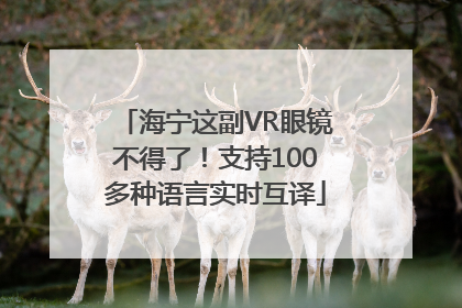 海宁这副VR眼镜不得了！支持100多种语言实时互译