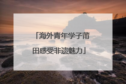 海外青年学子莆田感受非遗魅力
