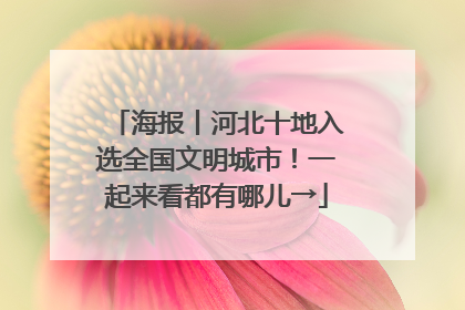 海报丨河北十地入选全国文明城市！一起来看都有哪儿→