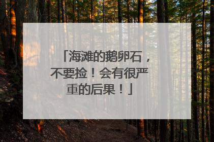 海滩的鹅卵石，不要捡！会有很严重的后果！