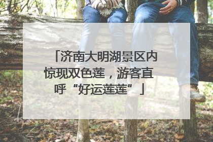 济南大明湖景区内惊现双色莲，游客直呼“好运莲莲”
