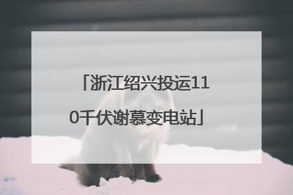 浙江绍兴投运110千伏谢慕变电站