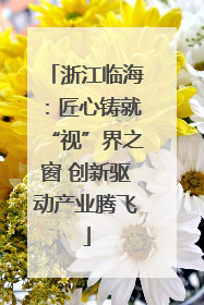 浙江临海：匠心铸就“视”界之窗 创新驱动产业腾飞