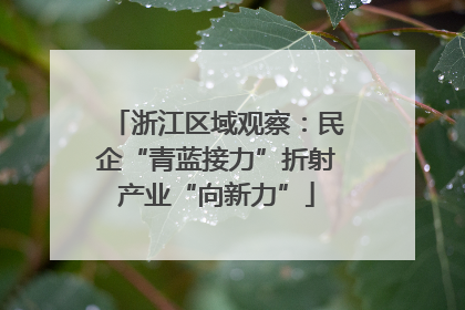 浙江区域观察：民企“青蓝接力”折射产业“向新力”