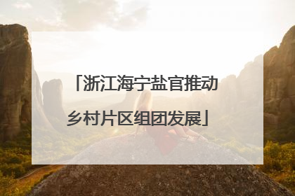 浙江海宁盐官推动乡村片区组团发展