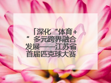 深化“体育+”多元跨界融合发展——江苏省首届匹克球大赛在无锡开赛