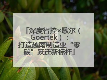深度智控×歌尔（Goertek）：打造越南制造业“零碳”跃迁新标杆