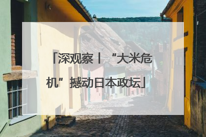 深观察丨“大米危机”撼动日本政坛