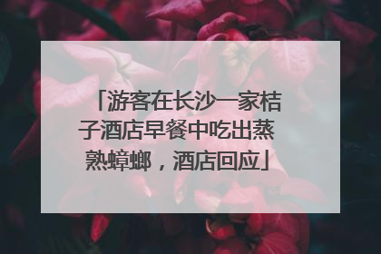 游客在长沙一家桔子酒店早餐中吃出蒸熟蟑螂，酒店回应