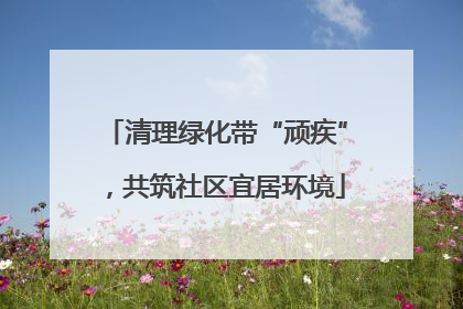 清理绿化带“顽疾”，共筑社区宜居环境