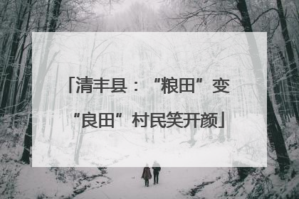 清丰县：“粮田”变“良田”村民笑开颜