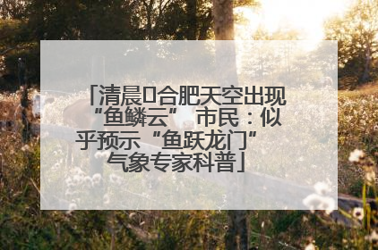 清晨﻿合肥天空出现“鱼鳞云” 市民：似乎预示“鱼跃龙门” 气象专家科普