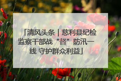 清风头条｜慈利县纪检监察干部战“督”防汛一线 守护群众利益