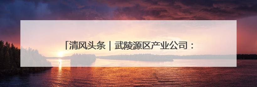 清风头条｜武陵源区产业公司：多措并举推进警示教育走深走实