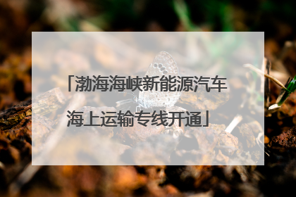 渤海海峡新能源汽车海上运输专线开通