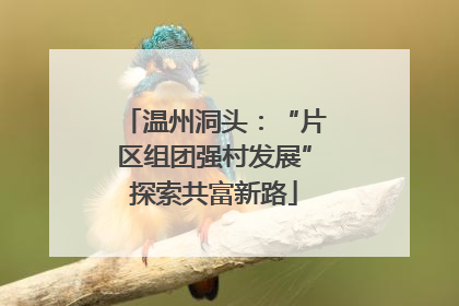 温州洞头：“片区组团强村发展”探索共富新路