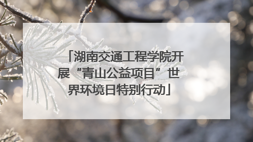 湖南交通工程学院开展“青山公益项目”世界环境日特别行动
