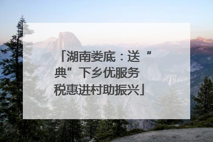 湖南娄底：送“典”下乡优服务 税惠进村助振兴