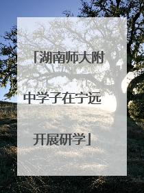 湖南师大附中学子在宁远开展研学