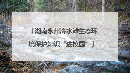 湖南永州冷水滩生态环境保护知识“进校园”