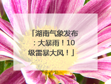 湖南气象发布：大暴雨！10级雷暴大风！