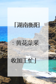 湖南衡阳：黄花菜采收加工忙