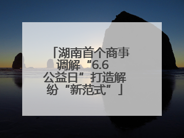 湖南首个商事调解“6.6 公益日”打造解纷“新范式”