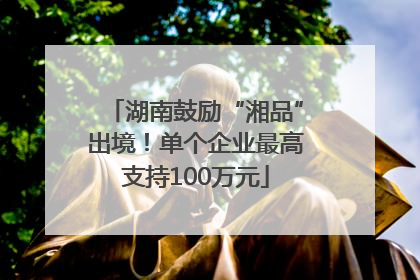 湖南鼓励“湘品”出境！单个企业最高支持100万元