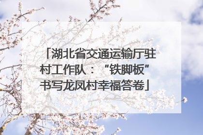 湖北省交通运输厅驻村工作队：“铁脚板”书写龙凤村幸福答卷