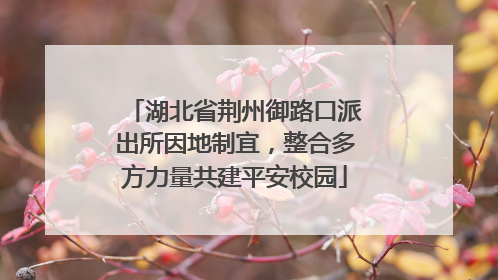 湖北省荆州御路口派出所因地制宜，整合多方力量共建平安校园