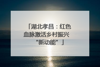 湖北孝昌：红色血脉激活乡村振兴“新动能”