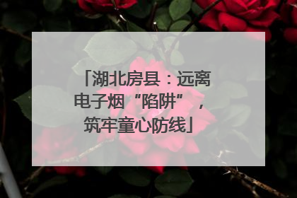 湖北房县：远离电子烟“陷阱”，筑牢童心防线