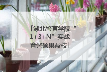 湖北警官学院“1+3+N”实战育警硕果盈枝