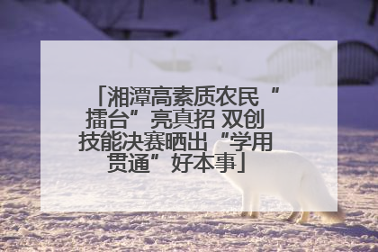 湘潭高素质农民“擂台”亮真招 双创技能决赛晒出“学用贯通”好本事