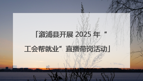 溆浦县开展 2025 年“工会帮就业”直播带岗活动
