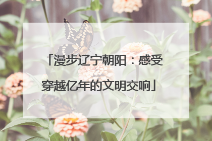 漫步辽宁朝阳：感受穿越亿年的文明交响