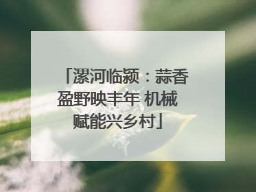 漯河临颍：蒜香盈野映丰年 机械赋能兴乡村