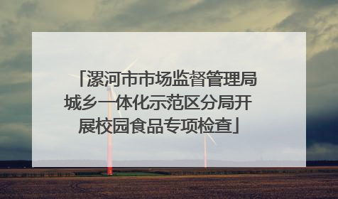 漯河市市场监督管理局城乡一体化示范区分局开展校园食品专项检查