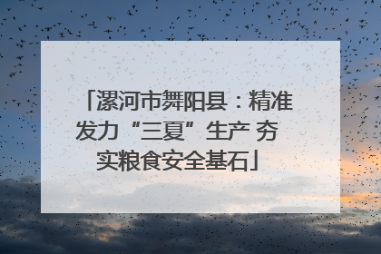 漯河市舞阳县：精准发力“三夏”生产 夯实粮食安全基石