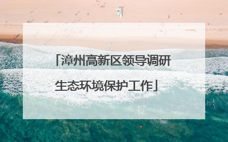 漳州高新区领导调研生态环境保护工作
