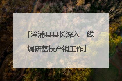 漳浦县县长深入一线调研荔枝产销工作