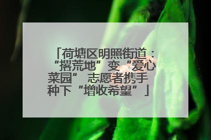 荷塘区明照街道：“撂荒地”变“爱心菜园” 志愿者携手种下“增收希望”