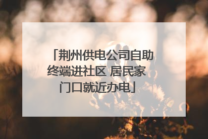 荆州供电公司自助终端进社区 居民家门口就近办电