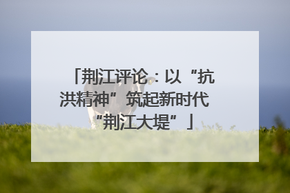 荆江评论：以“抗洪精神”筑起新时代“荆江大堤”