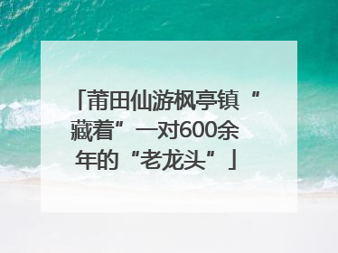 莆田仙游枫亭镇“藏着”一对600余年的“老龙头”