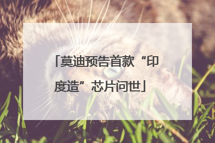 莫迪预告首款“印度造”芯片问世
