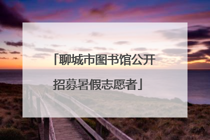 聊城市图书馆公开招募暑假志愿者